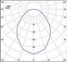  ������ ���� �����